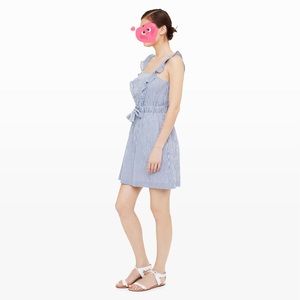 Club Monaco Marona Dress (Brand new)